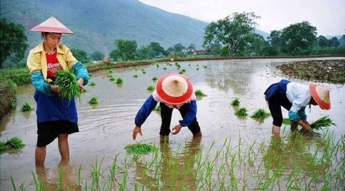 Día Internacional de las mujeres rurales